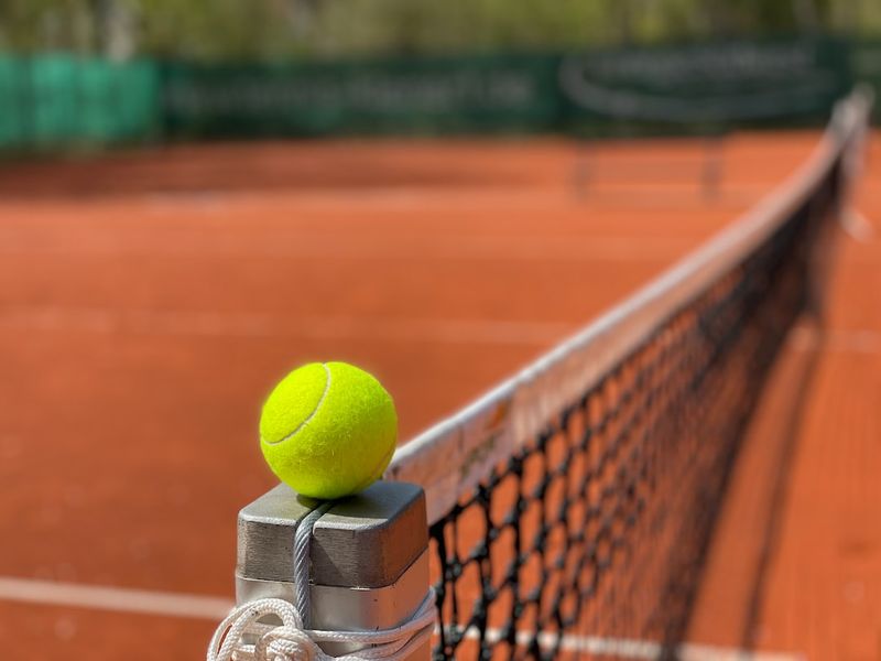 Der Siegeszug des Tennissports in Deutschland: Ein einheitlicher Tennis-Tag im TZS stärkt die Popularität der Sportart-TennisinDeutschland-Tennissport-Tennis-Tag-TZS(Tennis-Zentrum)-PopularitätdesTennissports-SportartTennis-TennisentwicklunginDeutschland-TennisboominDeutschland