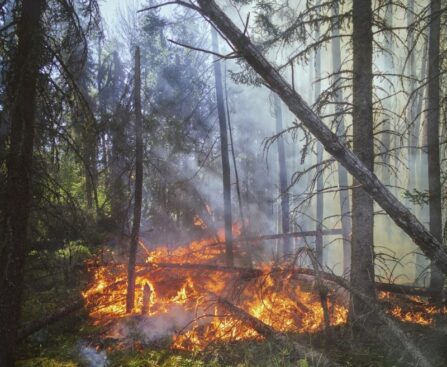 Verwüstung durch Naturgewalten: Nürnberg von Überschwemmungen und Stromausfällen heimgesuchtNaturgewalten,Verwüstung,Überschwemmungen,Stromausfälle,Nürnberg