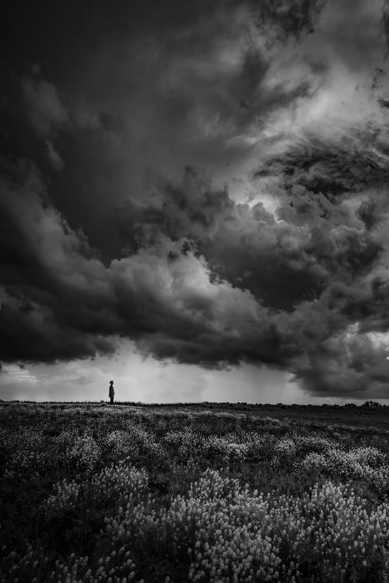 Das Wetter spielt verrückt: Wie hoch ist die Wahrscheinlichkeit für ein Sommer-Comeback ab Mitte nächster Woche?Wettervorhersage,Sommer,Comeback,Wahrscheinlichkeit