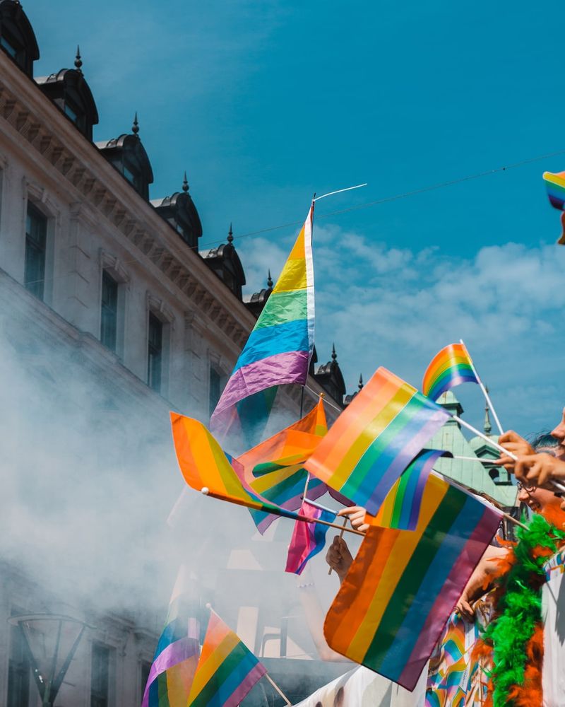 Alice Weidel und ihre Positionierung zur LGBTQ+-ThematikAliceWeidel,LGBTQ+,Positionierung,Thematik