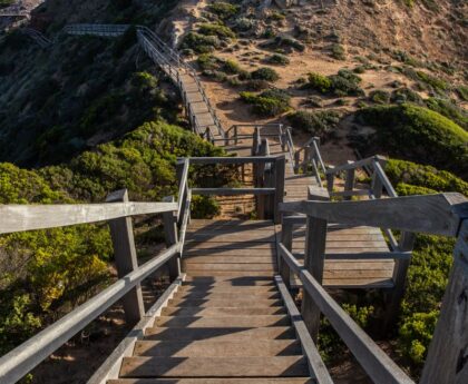 Gedenklauf auf dem Betzenberg: Treppen erklimmen für die VerstorbenenGedenklauf,Betzenberg,Treppen,Verstorbenen