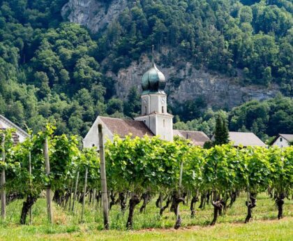 Der Aufstieg des Frankenweins: Eine Krönung für deutsche Winzer?frankenwein,deutschewinzer,aufstieg,krönung