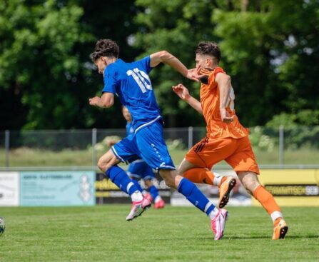 Mexiko erkämpft sich Unentschieden gegen Deutschlandfußball,Mexiko,Deutschland,Unentschieden,Spiel