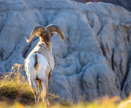 Gebäude zerstört, Menschen in Gefahr: Hurrikan "Otis" wütet in MexikoHurrikan,Mexiko,Naturkatastrophe,Zerstörung,Gefahr,Rettung,Evakuierung