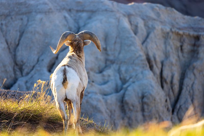 Gebäude zerstört, Menschen in Gefahr: Hurrikan "Otis" wütet in MexikoHurrikan,Mexiko,Naturkatastrophe,Zerstörung,Gefahr,Rettung,Evakuierung