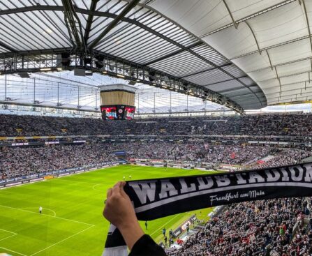 DFB-Team: Wie Nagelsmann die Euphorie entfacht hat!nagelsmann,dfb-team,euphorie