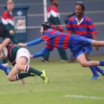 Rugby-WM: Von den Halbfinals zum großen Finale - Termine, Spielpläne, Teamsrugby-wm,halbfinals,großesfinale,termine,spielpläne,teams