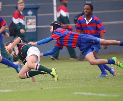 Rugby-WM: Von den Halbfinals zum großen Finale - Termine, Spielpläne, Teamsrugby-wm,halbfinals,großesfinale,termine,spielpläne,teams