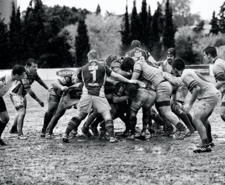 Südafrika triumphiert im Finale gegen Neuseeland und wird zur Rekordweltmeister im Rugbyrugby,Südafrika,Neuseeland,Finale,Weltmeister,Rekord